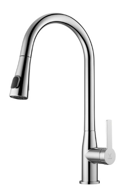 Kitchen Single Lever Sink Mixer Tap With Pull Out Dual Rinsing Spray